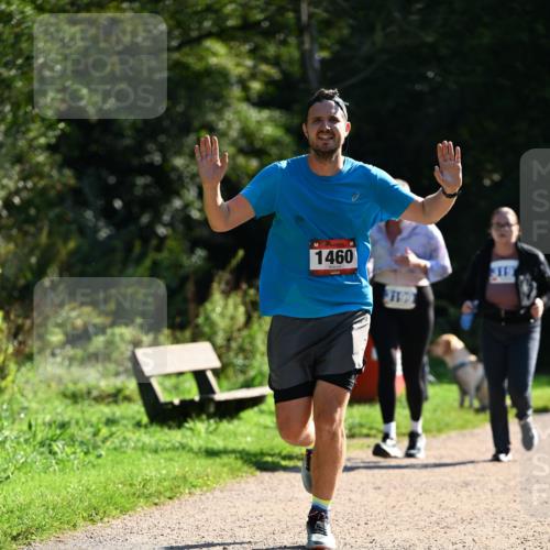 27.09.2026 - 35. Volkslauf durch das schöne Alstertal Dr. Thomas Lammeyer http://msf.ph/oto/10575698 27.09.2026 11:39:02 Laufen 1460 meine-sportfotos.de