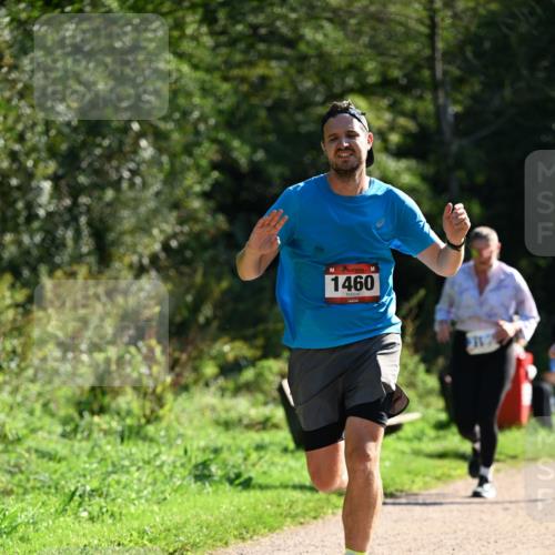 27.09.2026 - 35. Volkslauf durch das schöne Alstertal Dr. Thomas Lammeyer http://msf.ph/oto/10575706 27.09.2026 11:39:02 Laufen 1460, 3122 meine-sportfotos.de