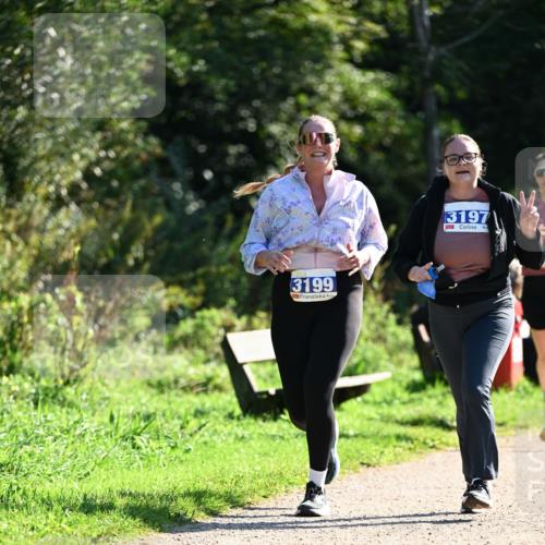 27.09.2026 - 35. Volkslauf durch das schöne Alstertal Dr. Thomas Lammeyer http://msf.ph/oto/10575717 27.09.2026 11:39:04 Laufen 3199, 3197 meine-sportfotos.de