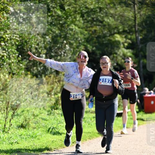27.09.2026 - 35. Volkslauf durch das schöne Alstertal Dr. Thomas Lammeyer http://msf.ph/oto/10575734 27.09.2026 11:39:05 Laufen 3199, 3197, 3, 1006 meine-sportfotos.de