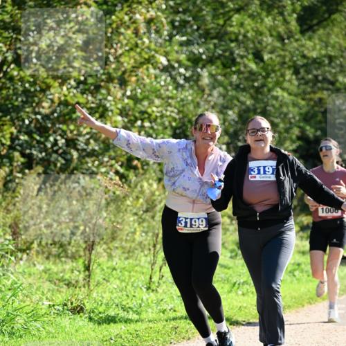 27.09.2026 - 35. Volkslauf durch das schöne Alstertal Dr. Thomas Lammeyer http://msf.ph/oto/10575747 27.09.2026 11:39:07 Laufen 3199, 13197, 1000 meine-sportfotos.de