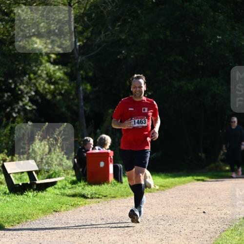 27.09.2026 - 35. Volkslauf durch das schöne Alstertal Dr. Thomas Lammeyer http://msf.ph/oto/10575767 27.09.2026 11:39:11 Laufen 1463 meine-sportfotos.de