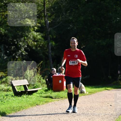27.09.2026 - 35. Volkslauf durch das schöne Alstertal Dr. Thomas Lammeyer http://msf.ph/oto/10575769 27.09.2026 11:39:11 Laufen 1463 meine-sportfotos.de