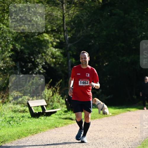 27.09.2026 - 35. Volkslauf durch das schöne Alstertal Dr. Thomas Lammeyer http://msf.ph/oto/10575776 27.09.2026 11:39:12 Laufen 1463 meine-sportfotos.de