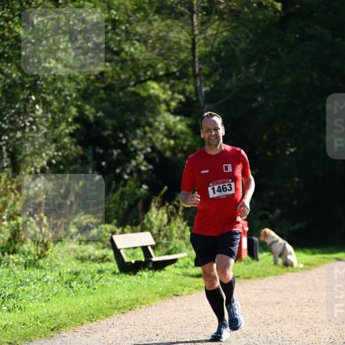 27.09.2026 - 35. Volkslauf durch das schöne Alstertal Dr. Thomas Lammeyer http://msf.ph/oto/10575780 27.09.2026 11:39:13 Laufen 1463 meine-sportfotos.de