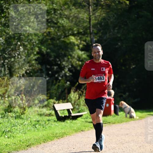 27.09.2026 - 35. Volkslauf durch das schöne Alstertal Dr. Thomas Lammeyer http://msf.ph/oto/10575782 27.09.2026 11:39:13 Laufen 1463 meine-sportfotos.de