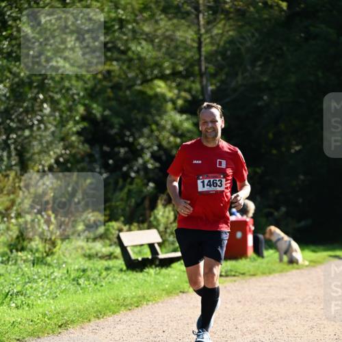 27.09.2026 - 35. Volkslauf durch das schöne Alstertal Dr. Thomas Lammeyer http://msf.ph/oto/10575784 27.09.2026 11:39:13 Laufen 1463 meine-sportfotos.de