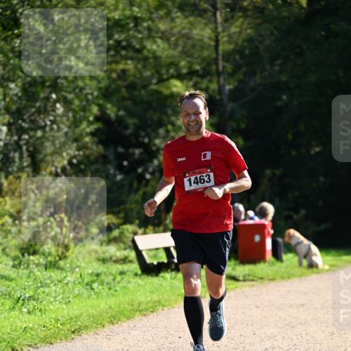 27.09.2026 - 35. Volkslauf durch das schöne Alstertal Dr. Thomas Lammeyer http://msf.ph/oto/10575785 27.09.2026 11:39:13 Laufen 1463 meine-sportfotos.de