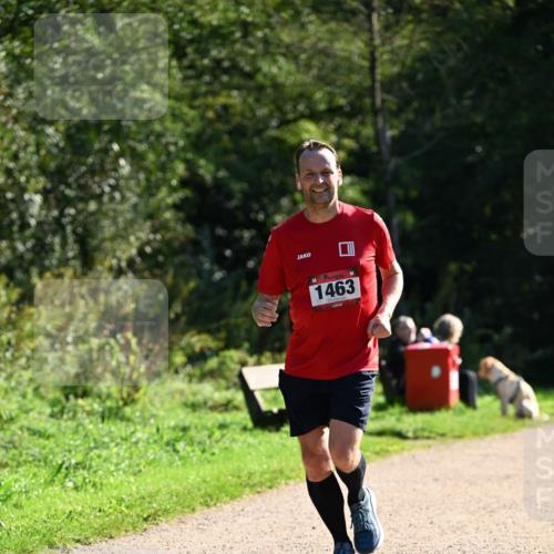 27.09.2026 - 35. Volkslauf durch das schöne Alstertal Dr. Thomas Lammeyer http://msf.ph/oto/10575786 27.09.2026 11:39:13 Laufen 1463 meine-sportfotos.de