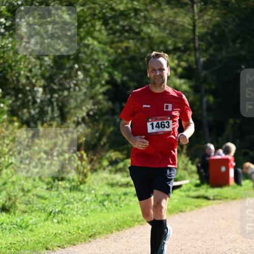 27.09.2026 - 35. Volkslauf durch das schöne Alstertal Dr. Thomas Lammeyer http://msf.ph/oto/10575790 27.09.2026 11:39:14 Laufen 1463 meine-sportfotos.de