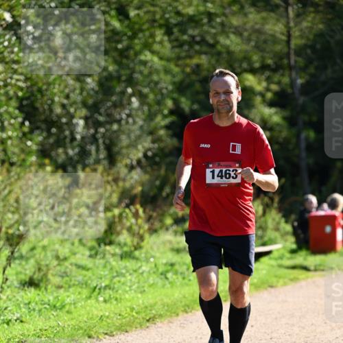 27.09.2026 - 35. Volkslauf durch das schöne Alstertal Dr. Thomas Lammeyer http://msf.ph/oto/10575791 27.09.2026 11:39:14 Laufen 1463 meine-sportfotos.de