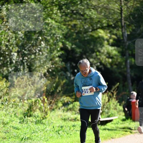 27.09.2026 - 35. Volkslauf durch das schöne Alstertal Dr. Thomas Lammeyer http://msf.ph/oto/10575798 27.09.2026 11:39:22 Laufen 316 meine-sportfotos.de