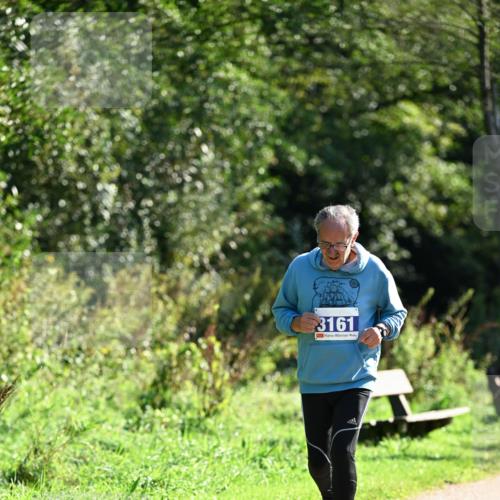 27.09.2026 - 35. Volkslauf durch das schöne Alstertal Dr. Thomas Lammeyer http://msf.ph/oto/10575802 27.09.2026 11:39:22 Laufen 3161 meine-sportfotos.de
