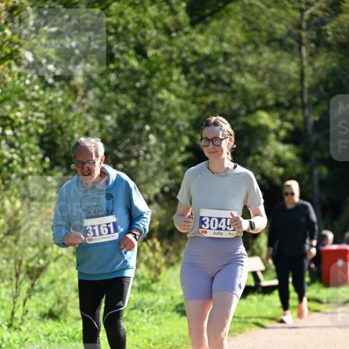 27.09.2026 - 35. Volkslauf durch das schöne Alstertal Dr. Thomas Lammeyer http://msf.ph/oto/10575816 27.09.2026 11:39:24 Laufen 3161, 3045 meine-sportfotos.de