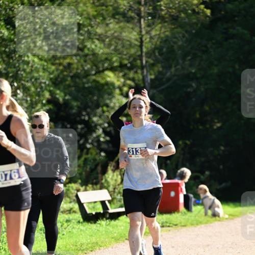 27.09.2026 - 35. Volkslauf durch das schöne Alstertal Dr. Thomas Lammeyer http://msf.ph/oto/10575834 27.09.2026 11:39:28 Laufen 076, 313 meine-sportfotos.de