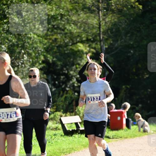 27.09.2026 - 35. Volkslauf durch das schöne Alstertal Dr. Thomas Lammeyer http://msf.ph/oto/10575836 27.09.2026 11:39:28 Laufen 3076, 3137 meine-sportfotos.de