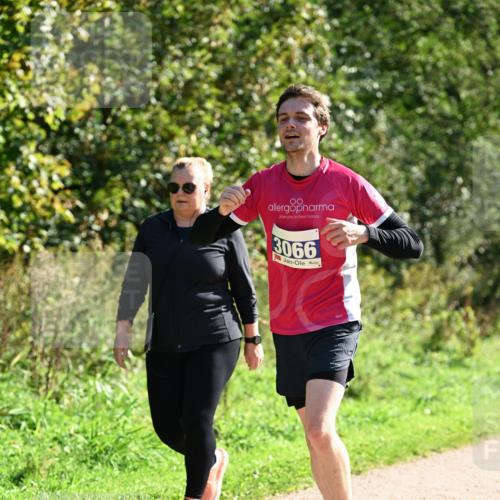 27.09.2026 - 35. Volkslauf durch das schöne Alstertal Dr. Thomas Lammeyer http://msf.ph/oto/10575870 27.09.2026 11:39:32 Laufen 00, 3066 meine-sportfotos.de