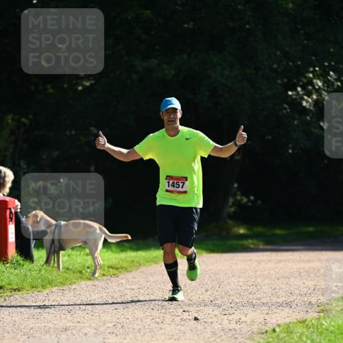 27.09.2026 - 35. Volkslauf durch das schöne Alstertal Dr. Thomas Lammeyer http://msf.ph/oto/10575873 27.09.2026 11:39:42 Laufen 1457 meine-sportfotos.de