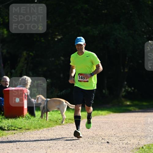 27.09.2026 - 35. Volkslauf durch das schöne Alstertal Dr. Thomas Lammeyer http://msf.ph/oto/10575879 27.09.2026 11:39:42 Laufen 145 meine-sportfotos.de