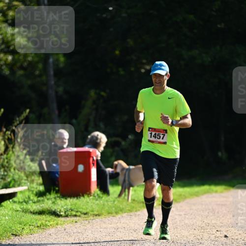 27.09.2026 - 35. Volkslauf durch das schöne Alstertal Dr. Thomas Lammeyer http://msf.ph/oto/10575885 27.09.2026 11:39:43 Laufen 1457 meine-sportfotos.de