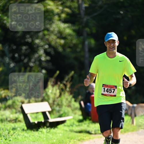 27.09.2026 - 35. Volkslauf durch das schöne Alstertal Dr. Thomas Lammeyer http://msf.ph/oto/10575896 27.09.2026 11:39:44 Laufen 1457 meine-sportfotos.de
