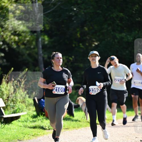 27.09.2026 - 35. Volkslauf durch das schöne Alstertal Dr. Thomas Lammeyer http://msf.ph/oto/10575942 27.09.2026 11:40:11 Laufen 2101, 3392 meine-sportfotos.de