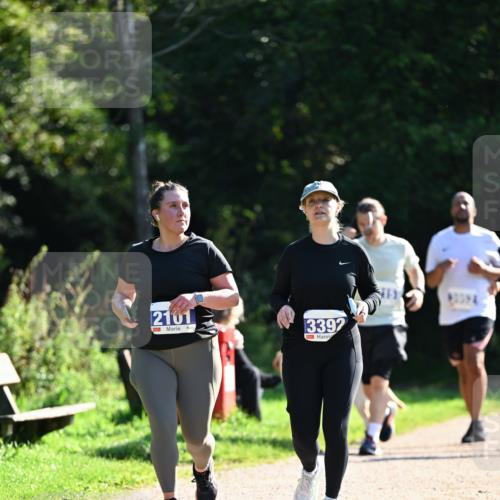 27.09.2026 - 35. Volkslauf durch das schöne Alstertal Dr. Thomas Lammeyer http://msf.ph/oto/10575945 27.09.2026 11:40:11 Laufen 2101, 3392 meine-sportfotos.de
