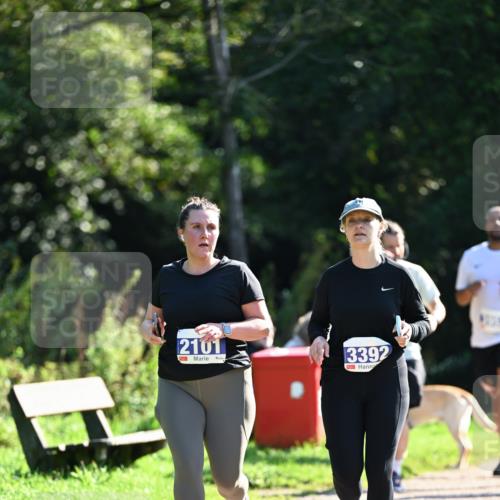 27.09.2026 - 35. Volkslauf durch das schöne Alstertal Dr. Thomas Lammeyer http://msf.ph/oto/10575955 27.09.2026 11:40:12 Laufen 2101, 3392 meine-sportfotos.de