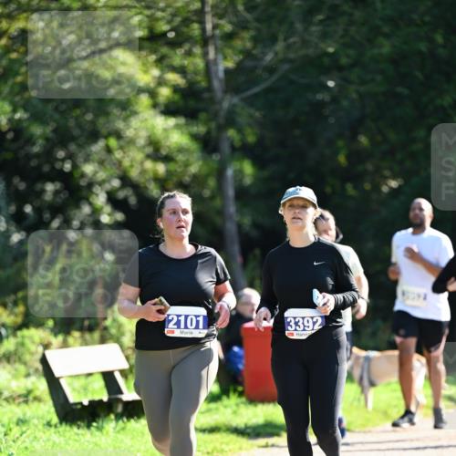 27.09.2026 - 35. Volkslauf durch das schöne Alstertal Dr. Thomas Lammeyer http://msf.ph/oto/10575959 27.09.2026 11:40:12 Laufen 2101, 3392 meine-sportfotos.de