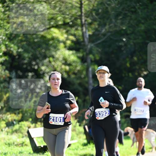 27.09.2026 - 35. Volkslauf durch das schöne Alstertal Dr. Thomas Lammeyer http://msf.ph/oto/10575964 27.09.2026 11:40:13 Laufen 2101, 3392 meine-sportfotos.de