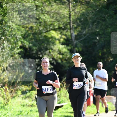 27.09.2026 - 35. Volkslauf durch das schöne Alstertal Dr. Thomas Lammeyer http://msf.ph/oto/10575968 27.09.2026 11:40:13 Laufen 2101, 3392 meine-sportfotos.de