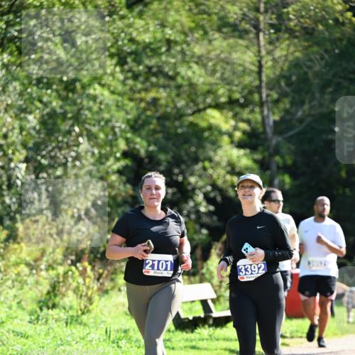 27.09.2026 - 35. Volkslauf durch das schöne Alstertal Dr. Thomas Lammeyer http://msf.ph/oto/10575974 27.09.2026 11:40:14 Laufen 2101, 3392 meine-sportfotos.de