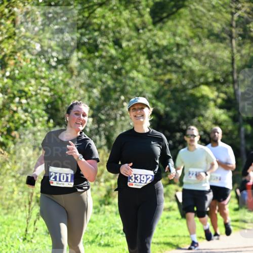 27.09.2026 - 35. Volkslauf durch das schöne Alstertal Dr. Thomas Lammeyer http://msf.ph/oto/10575987 27.09.2026 11:40:16 Laufen 2101, 3392 meine-sportfotos.de