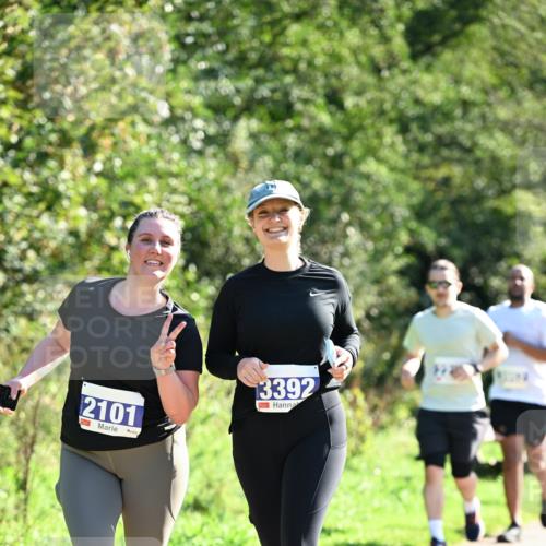 27.09.2026 - 35. Volkslauf durch das schöne Alstertal Dr. Thomas Lammeyer http://msf.ph/oto/10575994 27.09.2026 11:40:16 Laufen 2101, 3392 meine-sportfotos.de