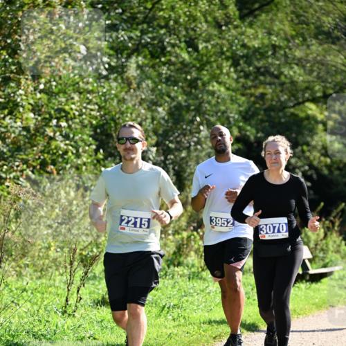 27.09.2026 - 35. Volkslauf durch das schöne Alstertal Dr. Thomas Lammeyer http://msf.ph/oto/10576008 27.09.2026 11:40:18 Laufen 2215, 3952, 3070 meine-sportfotos.de
