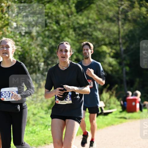 27.09.2026 - 35. Volkslauf durch das schöne Alstertal Dr. Thomas Lammeyer http://msf.ph/oto/10576018 27.09.2026 11:40:20 Laufen 307, 4 meine-sportfotos.de