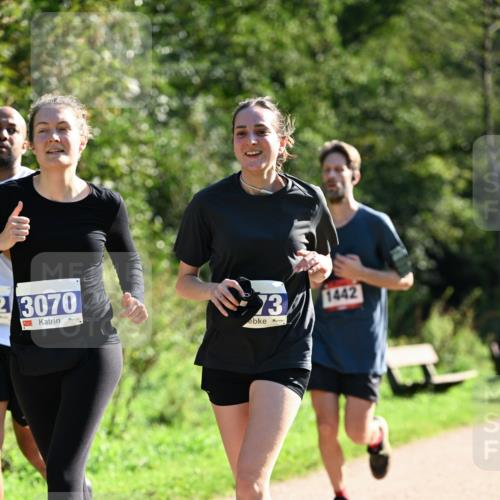 27.09.2026 - 35. Volkslauf durch das schöne Alstertal Dr. Thomas Lammeyer http://msf.ph/oto/10576022 27.09.2026 11:40:20 Laufen 13, 1442, 23070 meine-sportfotos.de