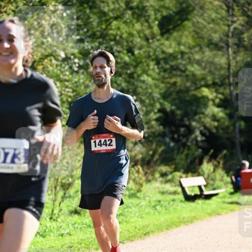 27.09.2026 - 35. Volkslauf durch das schöne Alstertal Dr. Thomas Lammeyer http://msf.ph/oto/10576025 27.09.2026 11:40:21 Laufen 073, 1442 meine-sportfotos.de