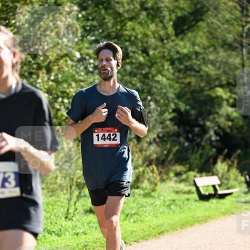 27.09.2026 - 35. Volkslauf durch das schöne Alstertal Dr. Thomas Lammeyer http://msf.ph/oto/10576026 27.09.2026 11:40:21 Laufen 73, 1442 meine-sportfotos.de