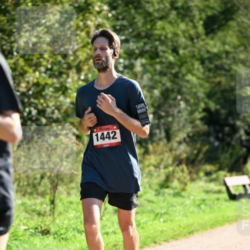 27.09.2026 - 35. Volkslauf durch das schöne Alstertal Dr. Thomas Lammeyer http://msf.ph/oto/10576028 27.09.2026 11:40:22 Laufen 1442 meine-sportfotos.de
