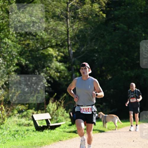 27.09.2026 - 35. Volkslauf durch das schöne Alstertal Dr. Thomas Lammeyer http://msf.ph/oto/10576032 27.09.2026 11:40:30 Laufen 2414 meine-sportfotos.de