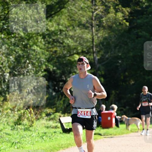 27.09.2026 - 35. Volkslauf durch das schöne Alstertal Dr. Thomas Lammeyer http://msf.ph/oto/10576038 27.09.2026 11:40:31 Laufen 2414 meine-sportfotos.de