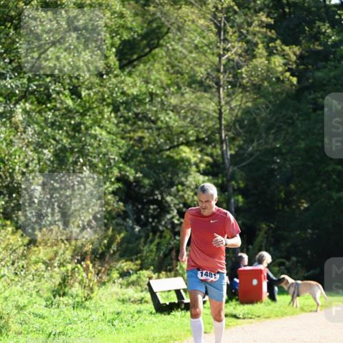 27.09.2026 - 35. Volkslauf durch das schöne Alstertal Dr. Thomas Lammeyer http://msf.ph/oto/10576085 27.09.2026 11:40:41 Laufen 1481 meine-sportfotos.de