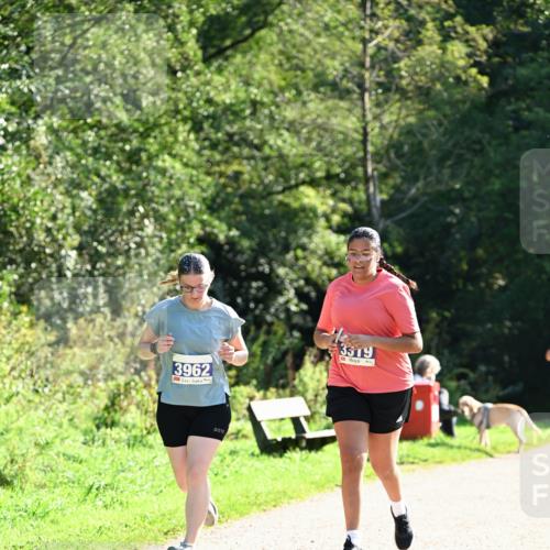 27.09.2026 - 35. Volkslauf durch das schöne Alstertal Dr. Thomas Lammeyer http://msf.ph/oto/10576106 27.09.2026 11:40:52 Laufen 3962, 3319 meine-sportfotos.de