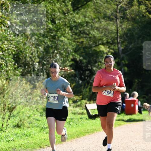27.09.2026 - 35. Volkslauf durch das schöne Alstertal Dr. Thomas Lammeyer http://msf.ph/oto/10576110 27.09.2026 11:40:53 Laufen 3962, 319 meine-sportfotos.de