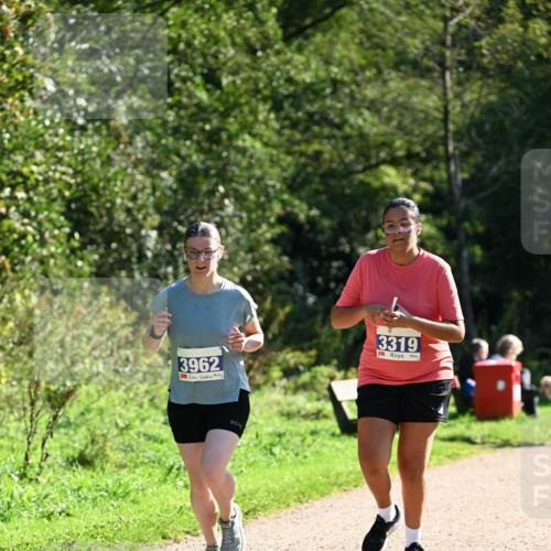 27.09.2026 - 35. Volkslauf durch das schöne Alstertal Dr. Thomas Lammeyer http://msf.ph/oto/10576111 27.09.2026 11:40:53 Laufen 3962, 3319 meine-sportfotos.de