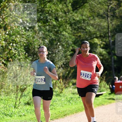 27.09.2026 - 35. Volkslauf durch das schöne Alstertal Dr. Thomas Lammeyer http://msf.ph/oto/10576116 27.09.2026 11:40:53 Laufen 3962, 3319 meine-sportfotos.de