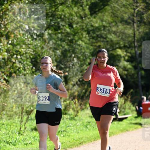 27.09.2026 - 35. Volkslauf durch das schöne Alstertal Dr. Thomas Lammeyer http://msf.ph/oto/10576117 27.09.2026 11:40:53 Laufen 3962, 3319 meine-sportfotos.de
