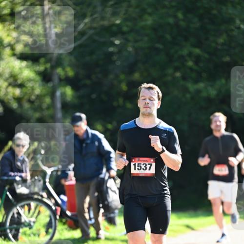 27.09.2026 - 35. Volkslauf durch das schöne Alstertal Dr. Thomas Lammeyer http://msf.ph/oto/10576145 27.09.2026 11:41:24 Laufen 1537 meine-sportfotos.de