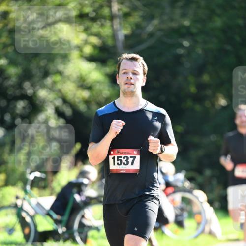 27.09.2026 - 35. Volkslauf durch das schöne Alstertal Dr. Thomas Lammeyer http://msf.ph/oto/10576155 27.09.2026 11:41:25 Laufen 1537 meine-sportfotos.de